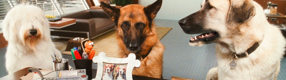 Como Perros y Gatos 2 – Película