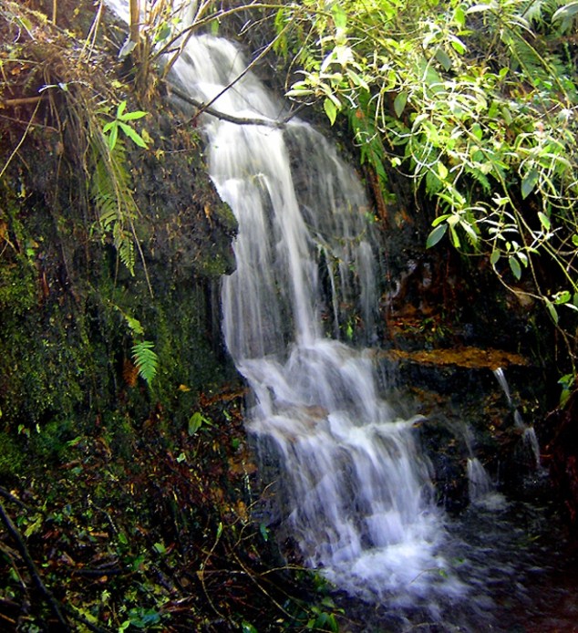 Cascada. Parque Natural Bogotá